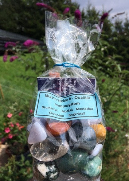 Wassersteinmischung  Immunsystem